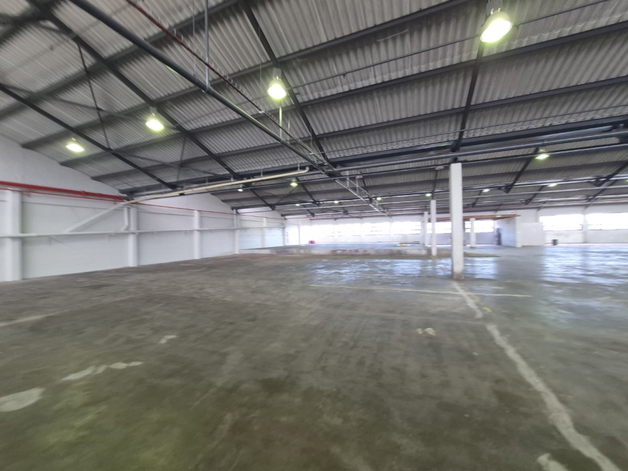 To Let Commercial Property for Rent in Paarden Eiland Western Cape